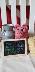 Pink mini pig birth announcement chalkboard showing 2.5oz weight and 4 inch height