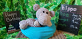 Crocheted gray hippo snuggler with birth announcement chalkboard signs