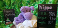 Purple crocheted hippo snuggler with Happy Birthday and birth announcement chalkboard signs